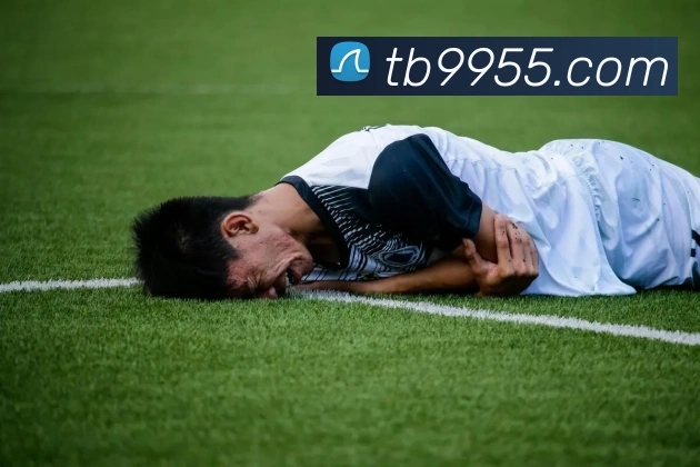 天博tb体育官网APP 封面图